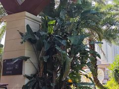 -碧桂园润杨溪谷温泉酒店