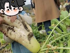 -辫豆HABA儿童馆·创意早教逻辑思维专注力(银泰中心店)