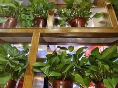 -齐祺渔锅(龙门路黑金店)