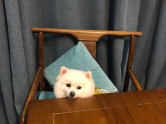 -伽利略剧本探案馆(国贸店)