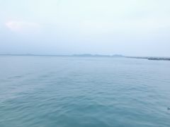 -杨梅坑