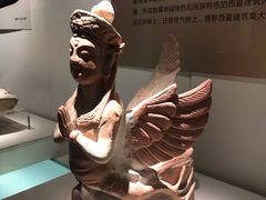 -宁夏博物馆