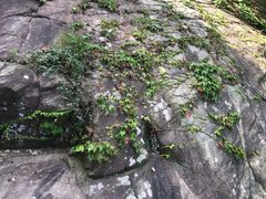 -连云港云龙涧原生态风景区