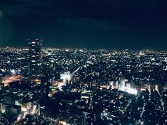 -东京都厅舍