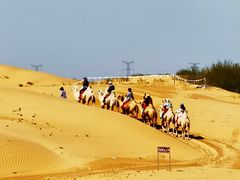 -银肯塔拉沙漠生态旅游景区