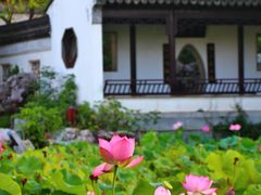 -八大山人梅湖景区