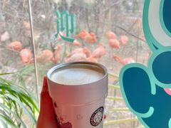 -ZOO COFFEE动物园咖啡(红山森林动物园店)