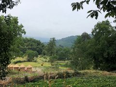 -塔川景区