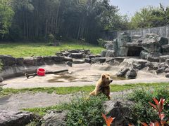 -宁波野生动物园