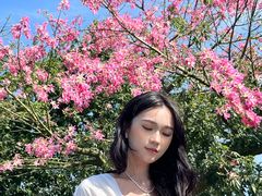 -东莞植物园