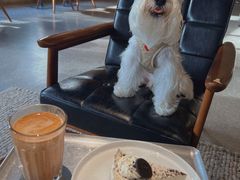 -山下C5cafe(惠通时代广场店)