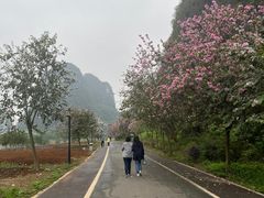 -钟山水墨田园