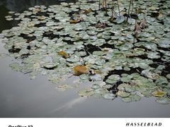 -清晏园