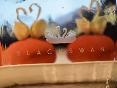 -BLACKSWAN黑天鹅(环球店)