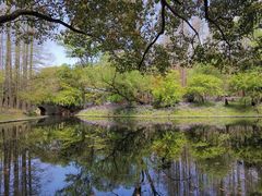 -上海共青森林公园