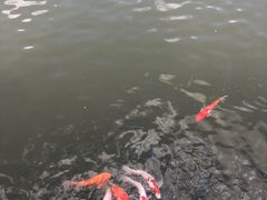 -南京汤山紫清湖生态旅游温泉度假区