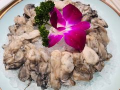 海蛎子-曲氏老北京铜锅涮肉•火锅(不老街店)