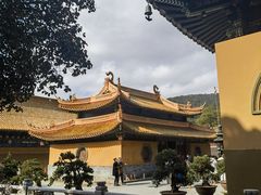 -普陀山风景名胜区-法雨禅寺