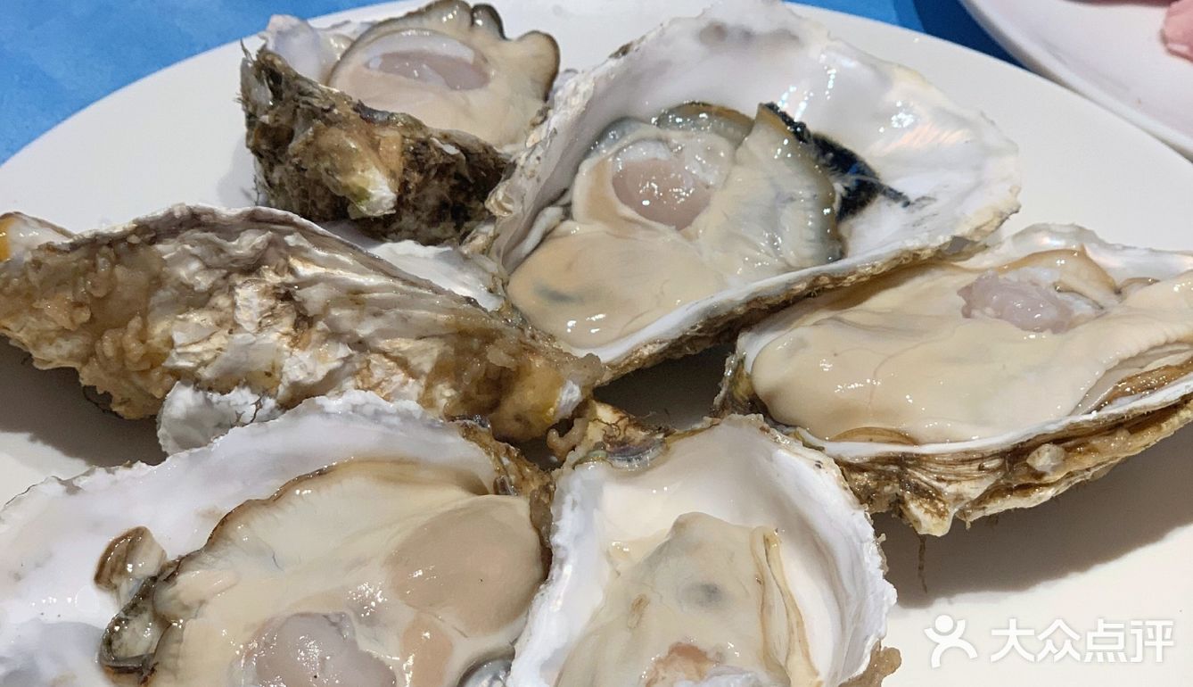 广州美食|白云区性价比高的宵夜店|千岛蚝[调皮][调皮][调皮]