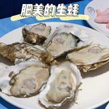 广州美食|白云区性价比高的宵夜店|千岛蚝[调皮][调皮][调皮]