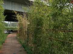 -木塔寺遗址生态公园