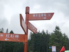 -硗碛藏寨·神木垒景区