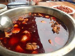 -佘记全家福芋儿鸡(向阳街总店)
