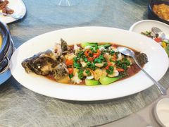 鲜椒龙趸鱼-鲍鱼王子(深圳大厦店)