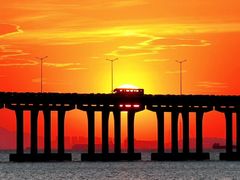 -宝安西湾红树林湿地公园