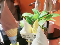-野人先生现做冰淇淋(北京王府井东方新天地店)