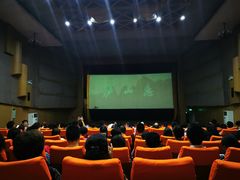 -庐山恋影院(河西路店)