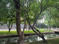 -春风习习
