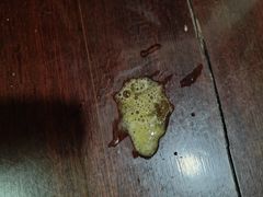 -宠颐生斯嘉宠物医院·急重症·心内科(谷阳北路分院)