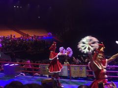 -广州长隆国际大马戏