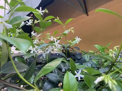 -花苑里咖啡(威远店)