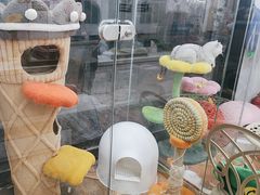 -糯米喵星人总部直营旗舰店·猫舍·幼猫出售