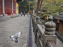 -灵隐飞来峰景区
