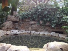 iphone_upload_pic-龙达温泉生态城