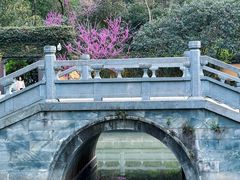 -慧因高丽寺