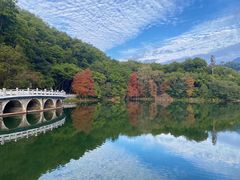 -深圳仙湖植物园