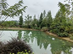 -铁山坪森林公园
