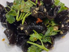 -洞庭家宴·头牌甲鱼(广渠门店)
