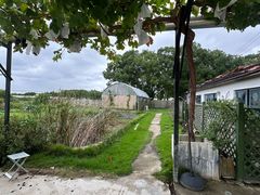 -美家乐农庄·露营·团建(大治路店)