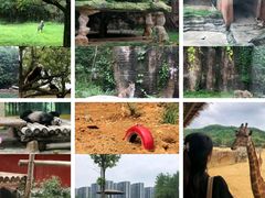 -杭州野生动物世界