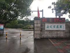 -嘉定紫藤园