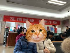 -北京银行(上地支行)