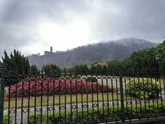 -南沙蒲洲花园