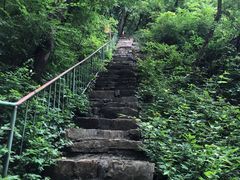 -老象峰