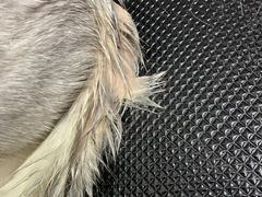 -PETKIT小佩宠物·低压洗护(国顺东路店)