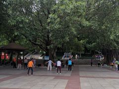 -广州雕塑公园